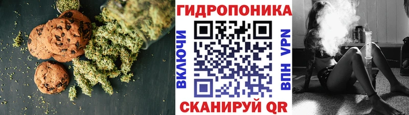 ссылка на мегу зеркало  Наволоки  Cannafood марихуана 