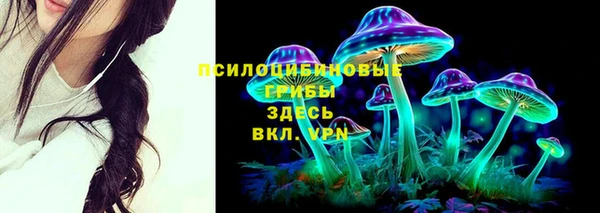 прущая мука Армянск