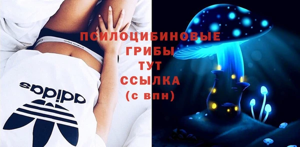 спайс Аркадак