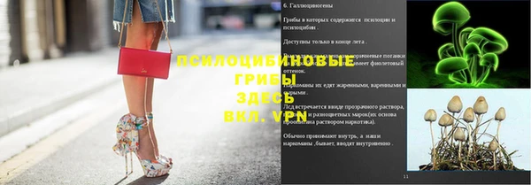 прущая мука Армянск