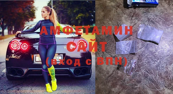хмурый Алексин