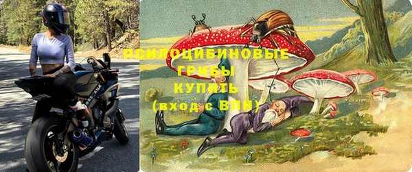 прущая мука Армянск