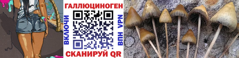 blacksprut ТОР  Наволоки  Галлюциногенные грибы прущие грибы 